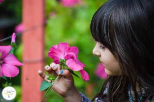 Las alergias en niños y bebés, asma en niños, remedios caseros para el asma, tu pediatra online