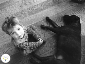 alergias en niños y bebés, animales de compañía para niños